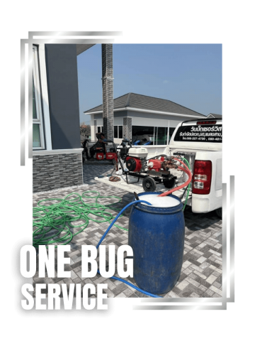 กำจัดปลวกบ้าน นนทบุรี (2)